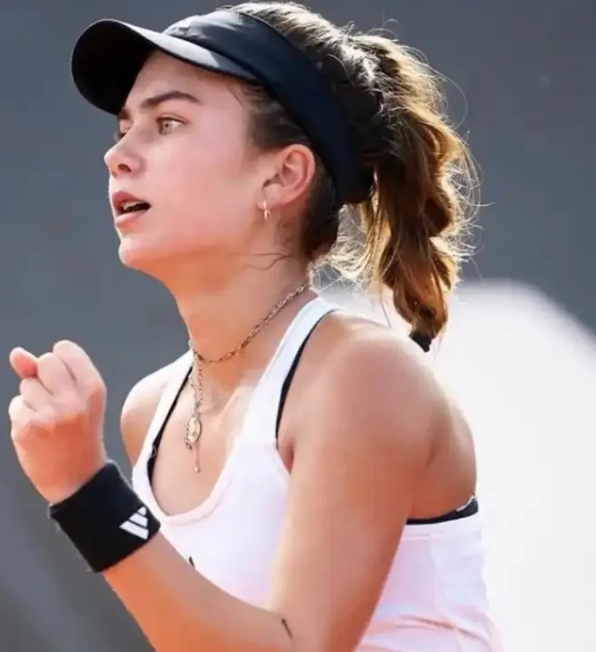 不妨看看 不妨看看