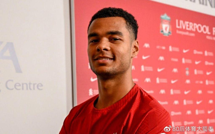 专注于低位 专注于低位