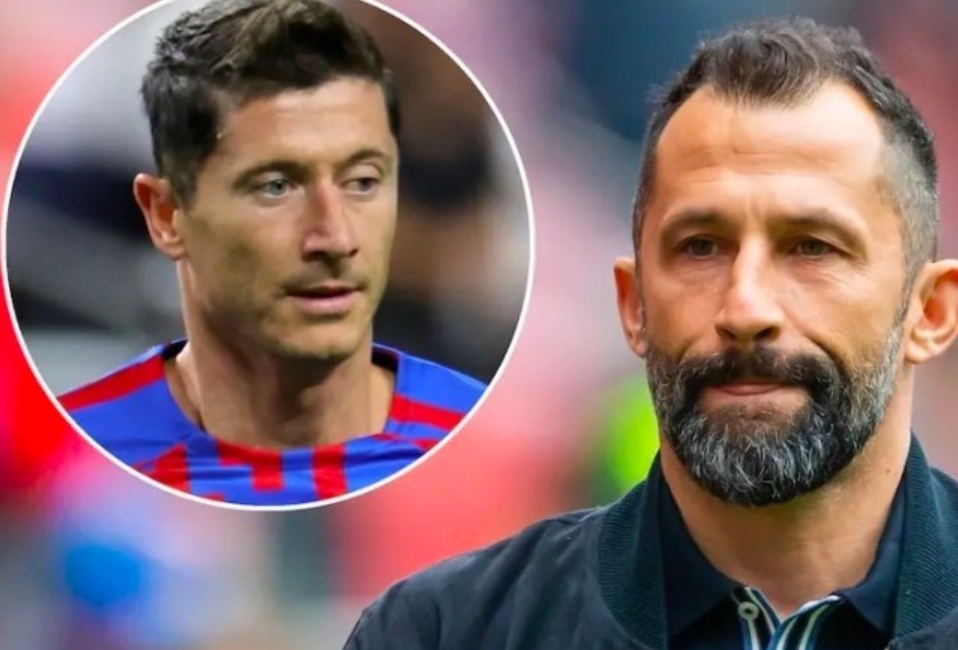 臂展2米4 臂展2米4