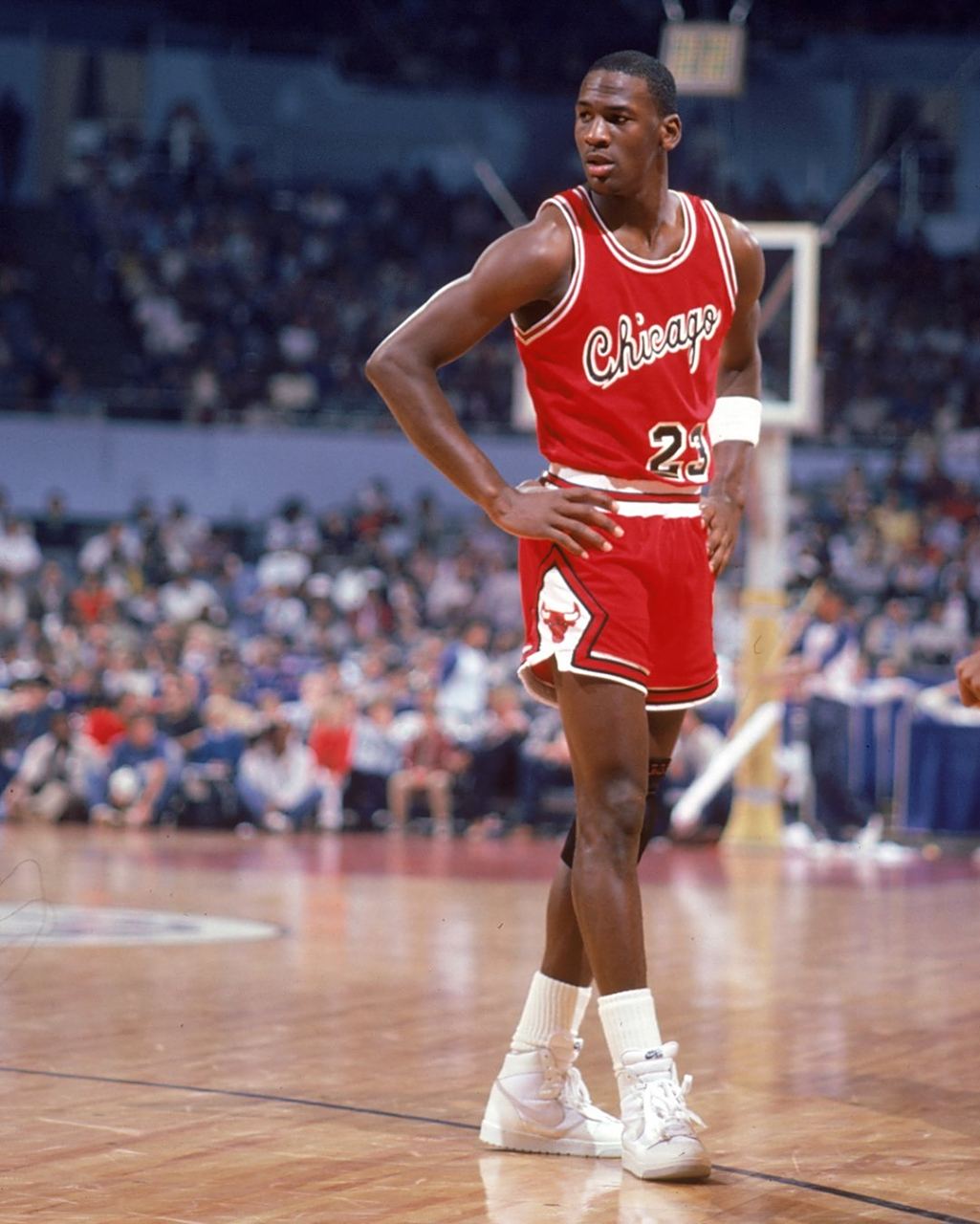 球队的核心 球队的核心