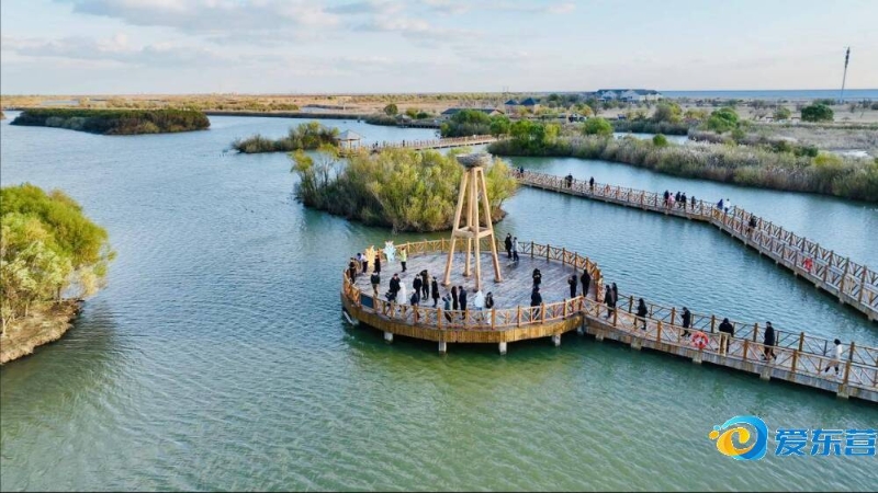 足球老司机｜塞鸟和王钰栋该首发吗？伊万为何如此犹豫？.