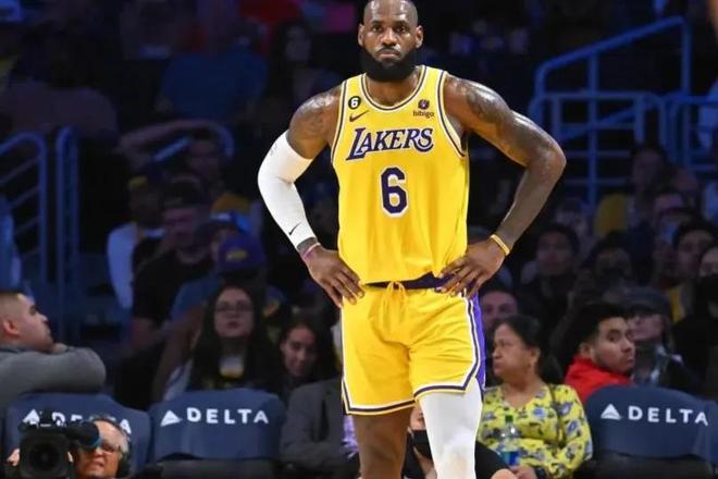 草丛的侦查 草丛的侦查